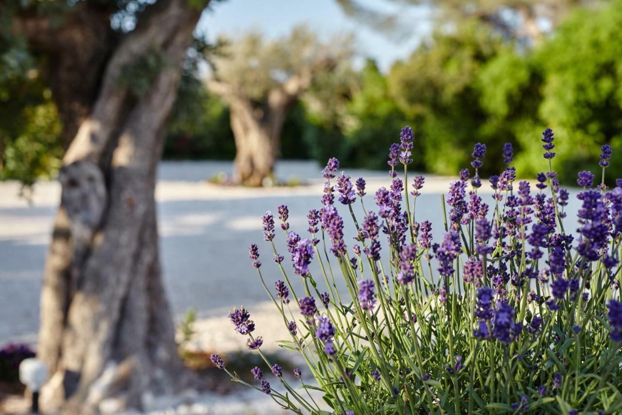 Bed and Breakfast Agapanto Masseria Conversano Exteriér fotografie